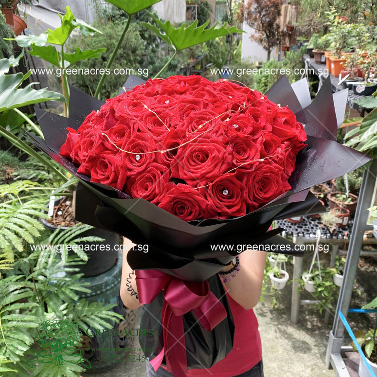 My Love For You天长地久 _ VDay