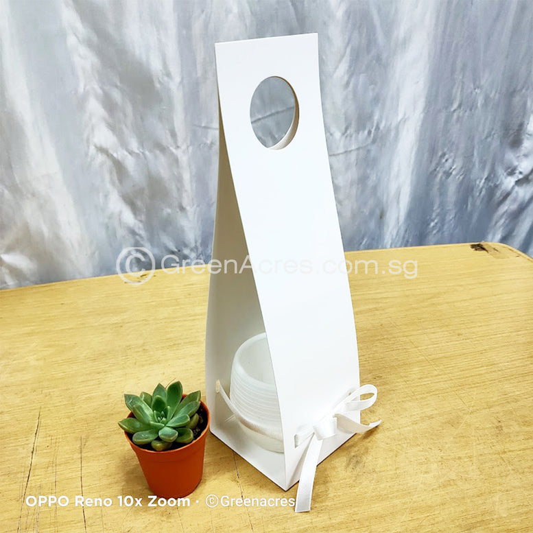 Auto Watering pot with mini Succulent Gift Pack - Op B