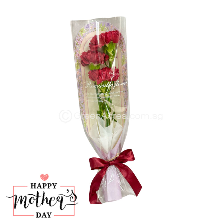 Carnation 3 Stalks Bouquet