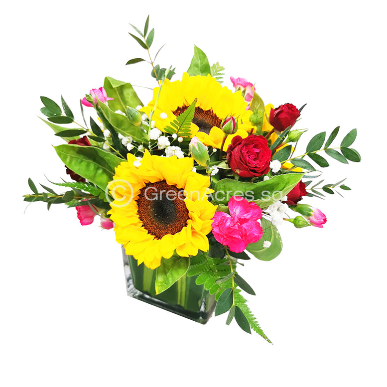 Charm Sunflowers