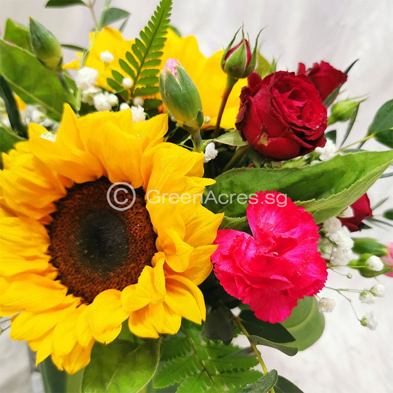 Charm Sunflowers