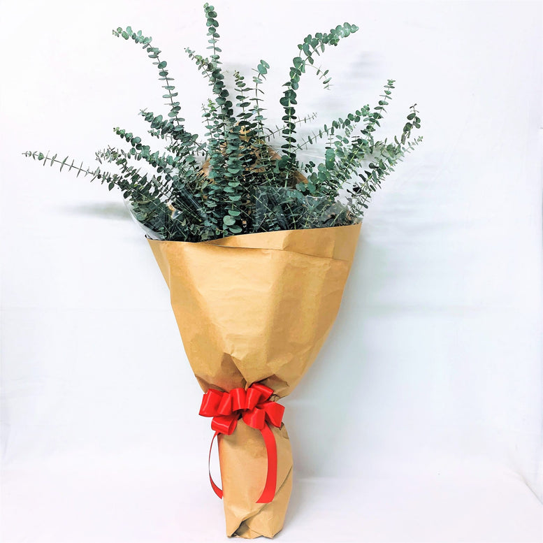 Eucalyptus Love Bouquet