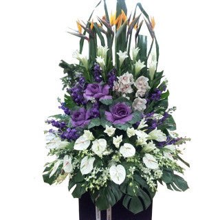 Tugged At Our Heart Strings