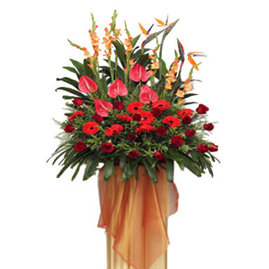 Astounding Achievements