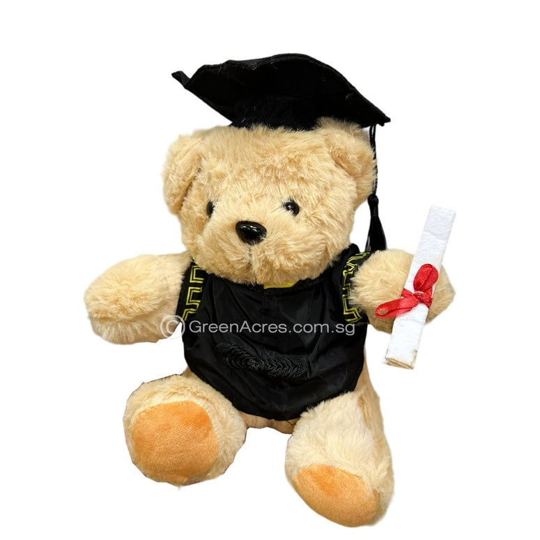 Graduation bear