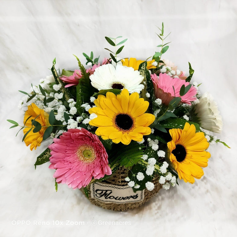 Gerbera basket