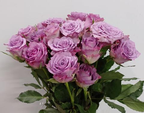 Rose Boutonniere / Corsage