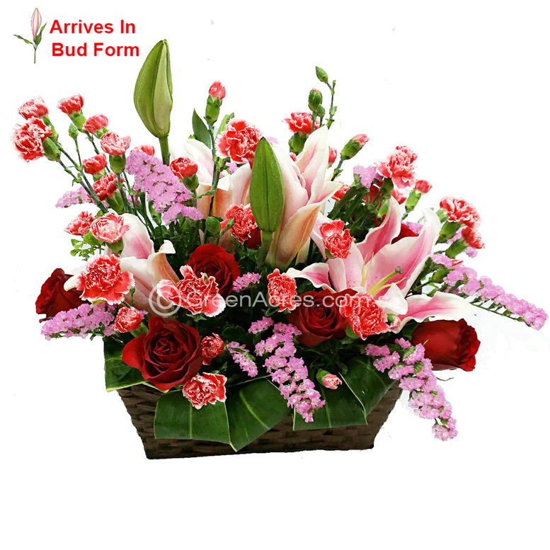 Lilies
