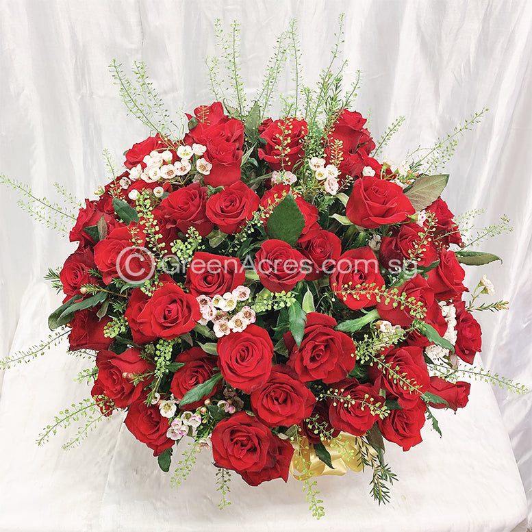 Lovely Roses