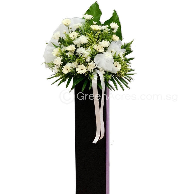 Peaceful Tranquility