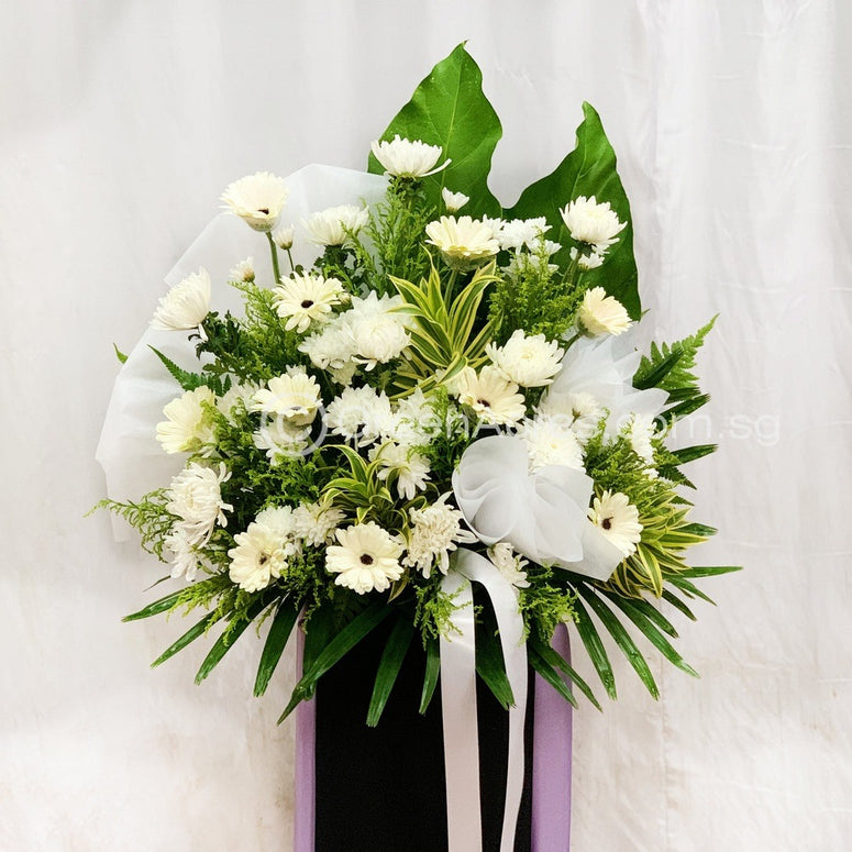 Peaceful Tranquility