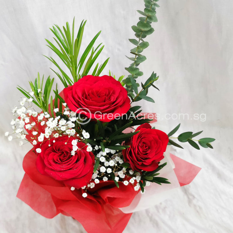 Summer Garden Rose