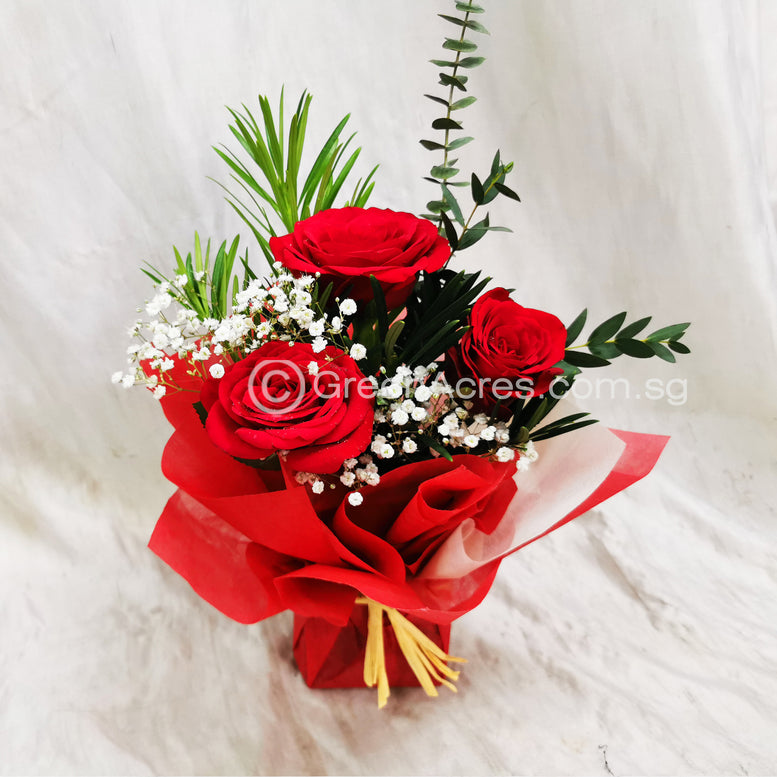 Summer Garden Rose
