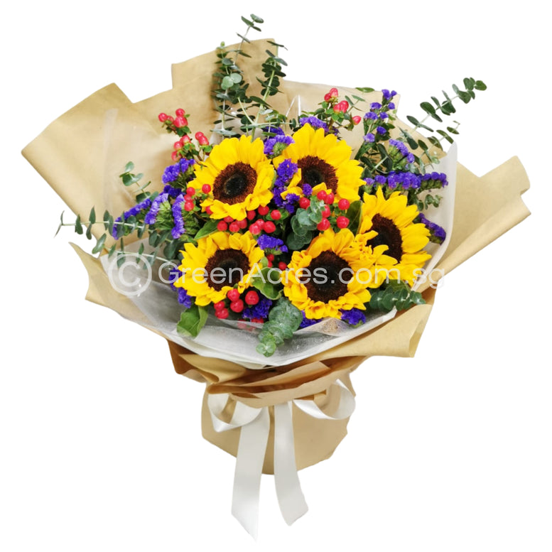 Sunshine Surprise