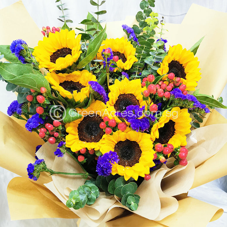Sunshine Surprise