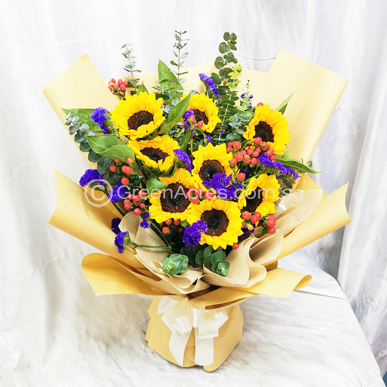 Sunshine Surprise