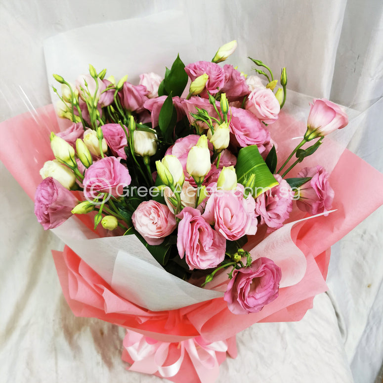 Warm time 温暖时光