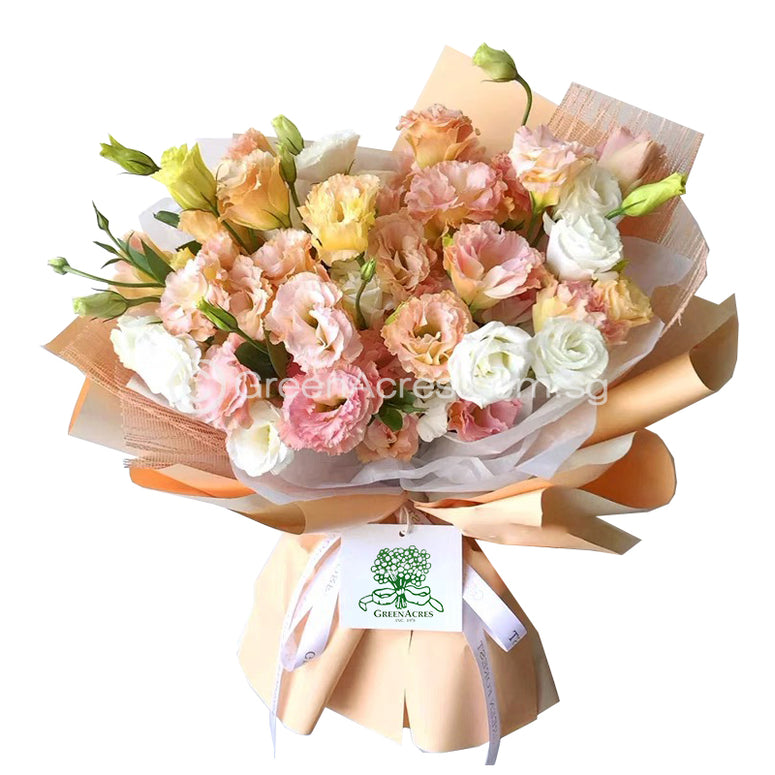 Warm time 温暖时光