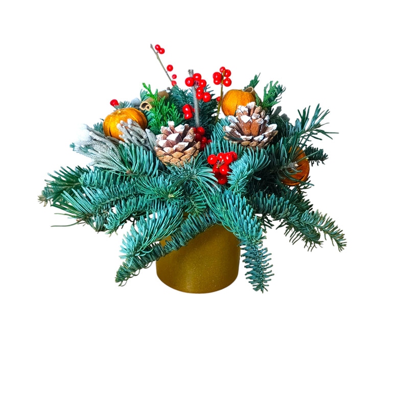 Christmas centerpiece in pot