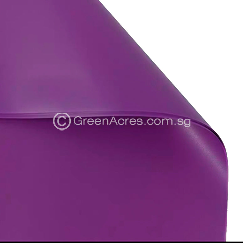 NEW GENERATION - OPP Flower Wrapper