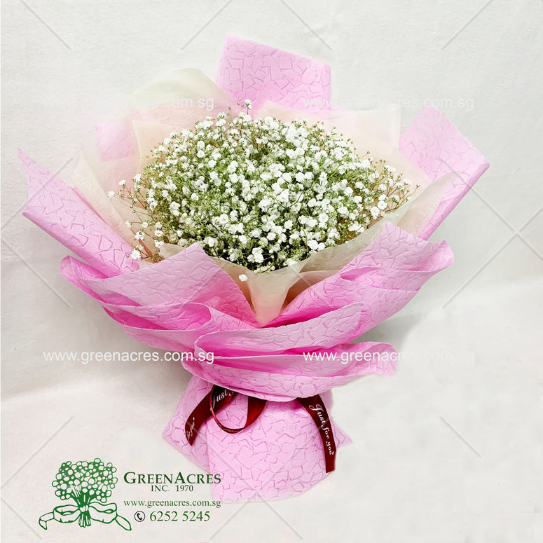 Written in the Stars