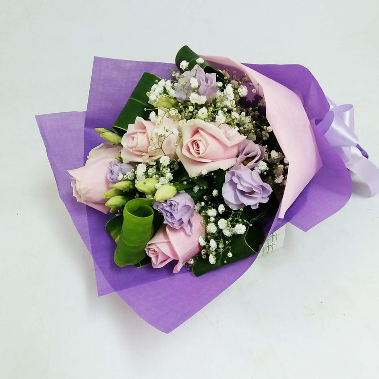 HB-Rosa 02