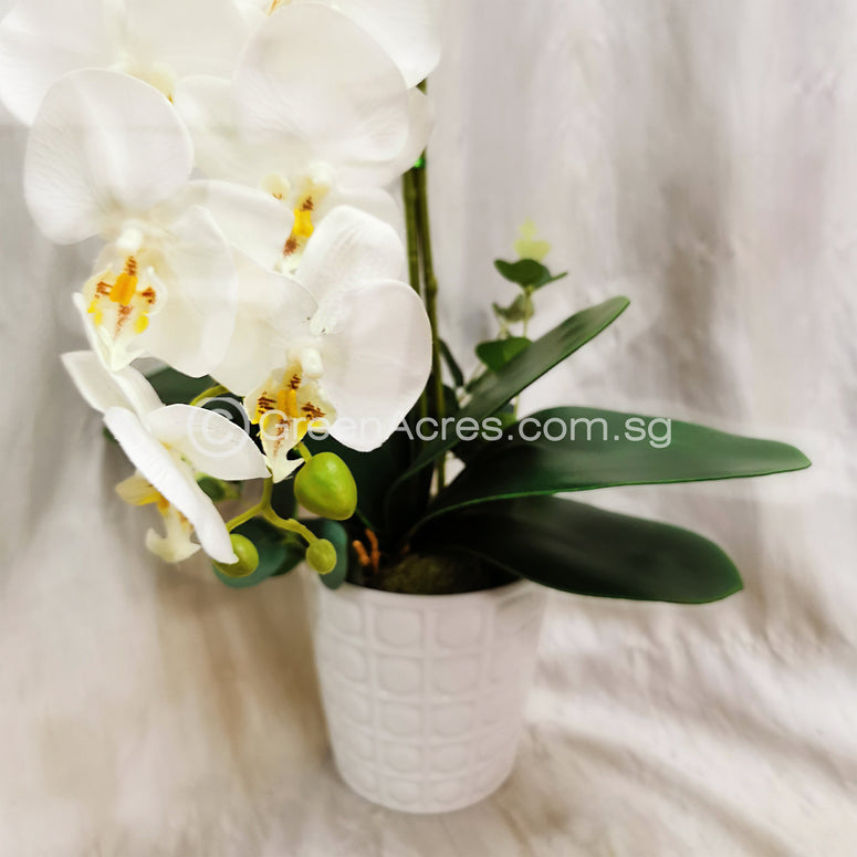 2 Stalk Potted Artificial Orchid