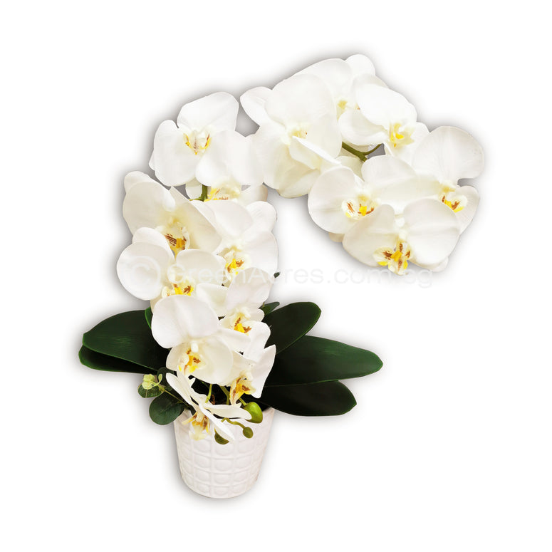 2 Stalk Potted Artificial Orchid