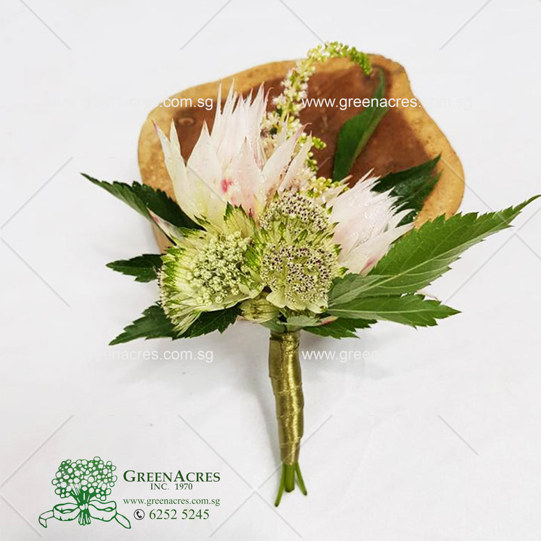 Bohemian - Wedding Package
