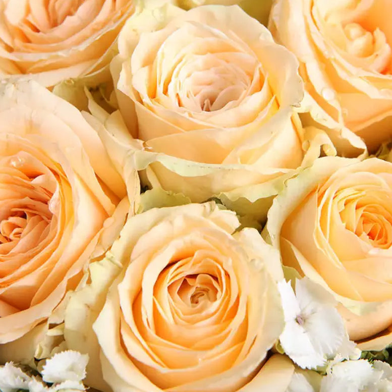 Rose Boutonniere / Corsage