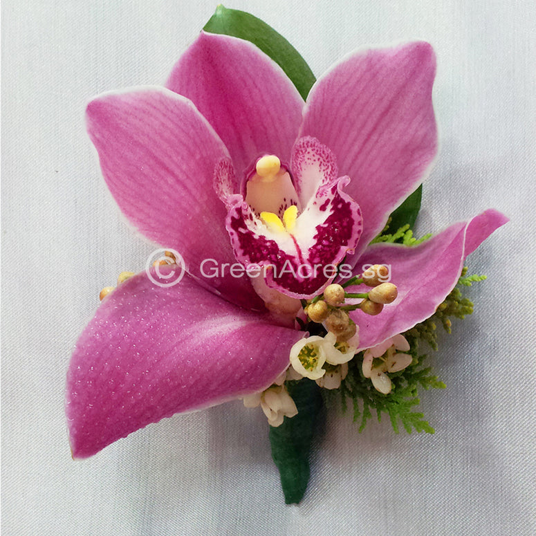 Cymbidium Corsage