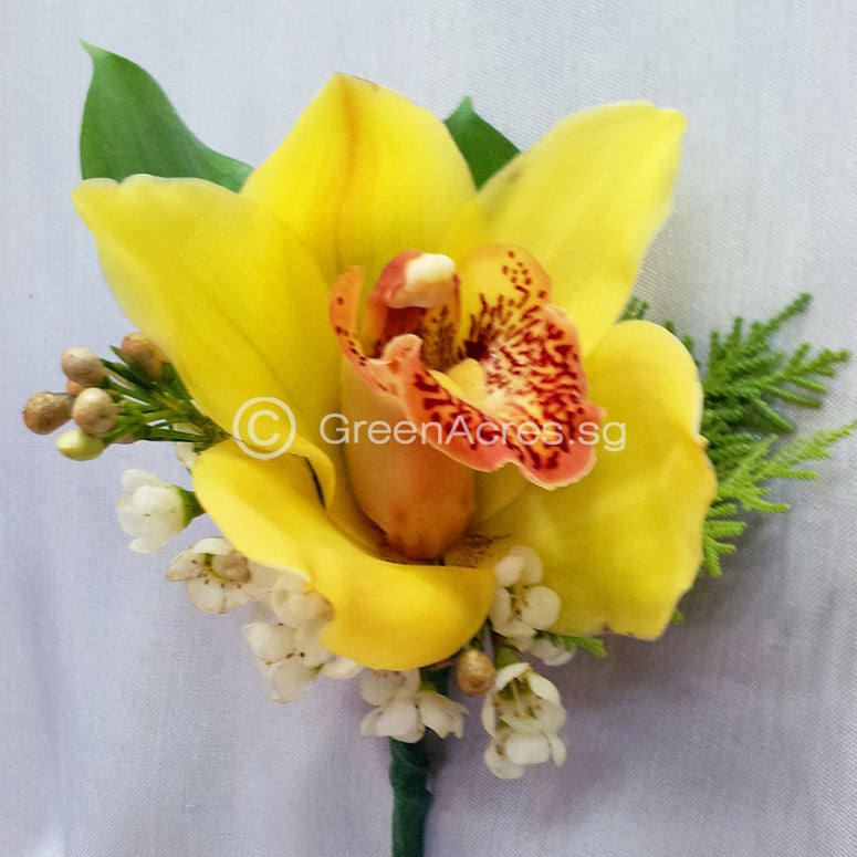 Cymbidium Corsage