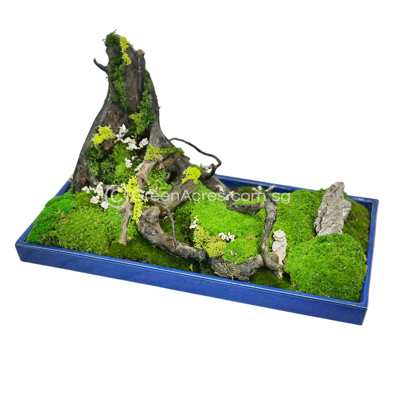 Moss Art _ 01