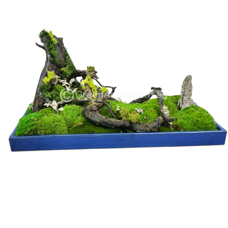 Moss Art _ 01