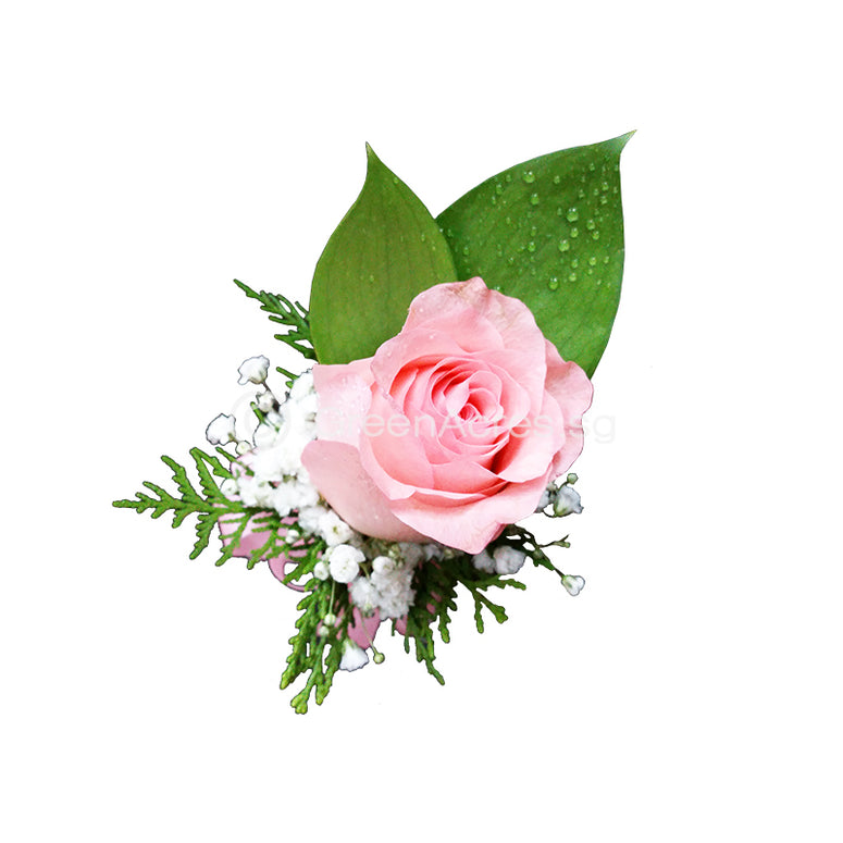 Rose Boutonniere / Corsage