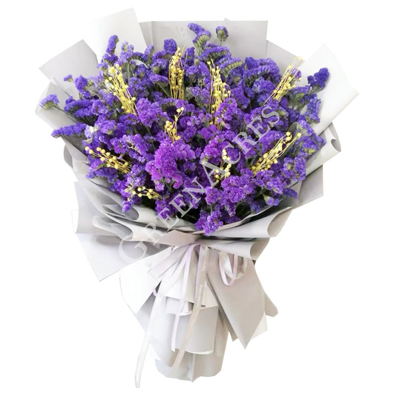 Don't Forget Me 勿忘我