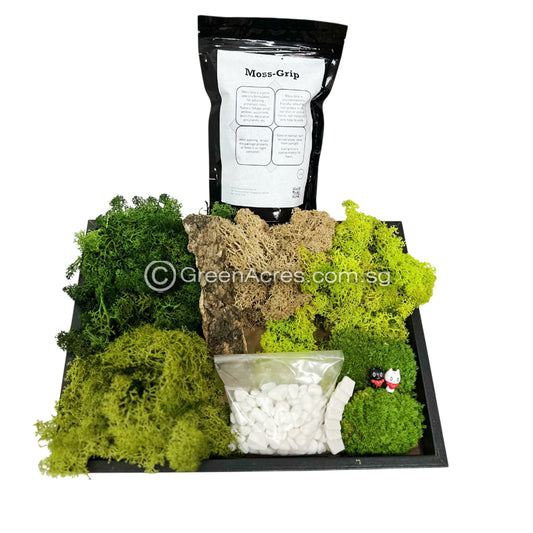 Mossart DIY Kit