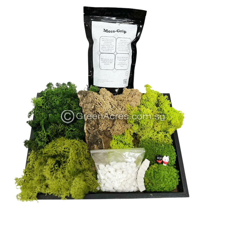 Mossart DIY Kit
