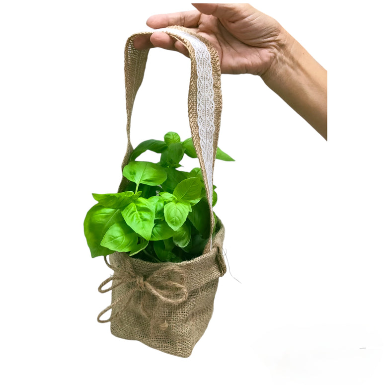 Herb Plant Gifting