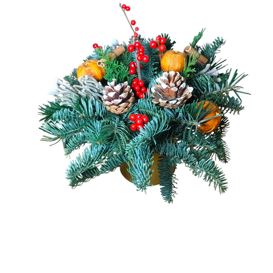 Christmas centerpiece in pot