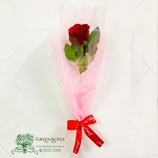 Single Stalk Rose